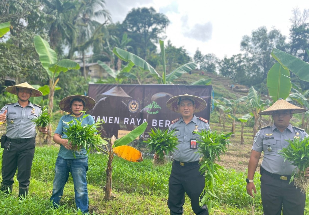 Rangkul Penyedia Bahan Makanan, Panen Raya Ratusan Kg Sayuran di Lahan SAE