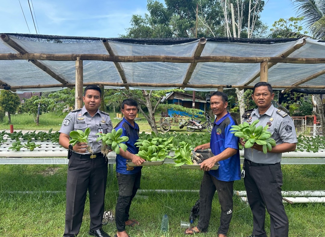 Panen Sayur Hidroponik, Program Pemberdayaan Warga Binaan Dukung Ketahanan Pangan