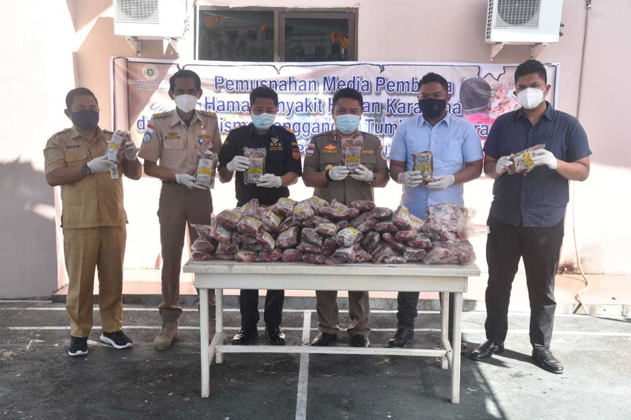 Waspada PMK, Karantina Pertanian Tarakan Musnahkan 1,9 Ton Daging Kerbau Ilegal asal Malaysia