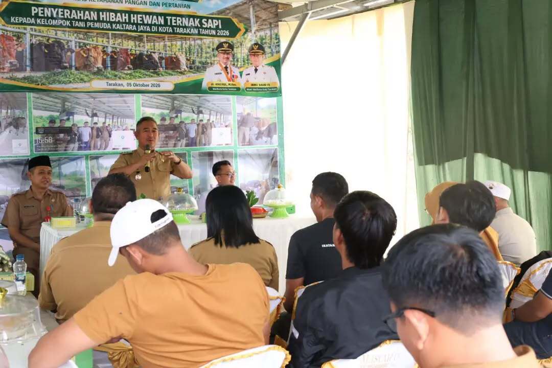 Pemkot Tarakan Dorong Pengembangan Ternak Sapi Lokal